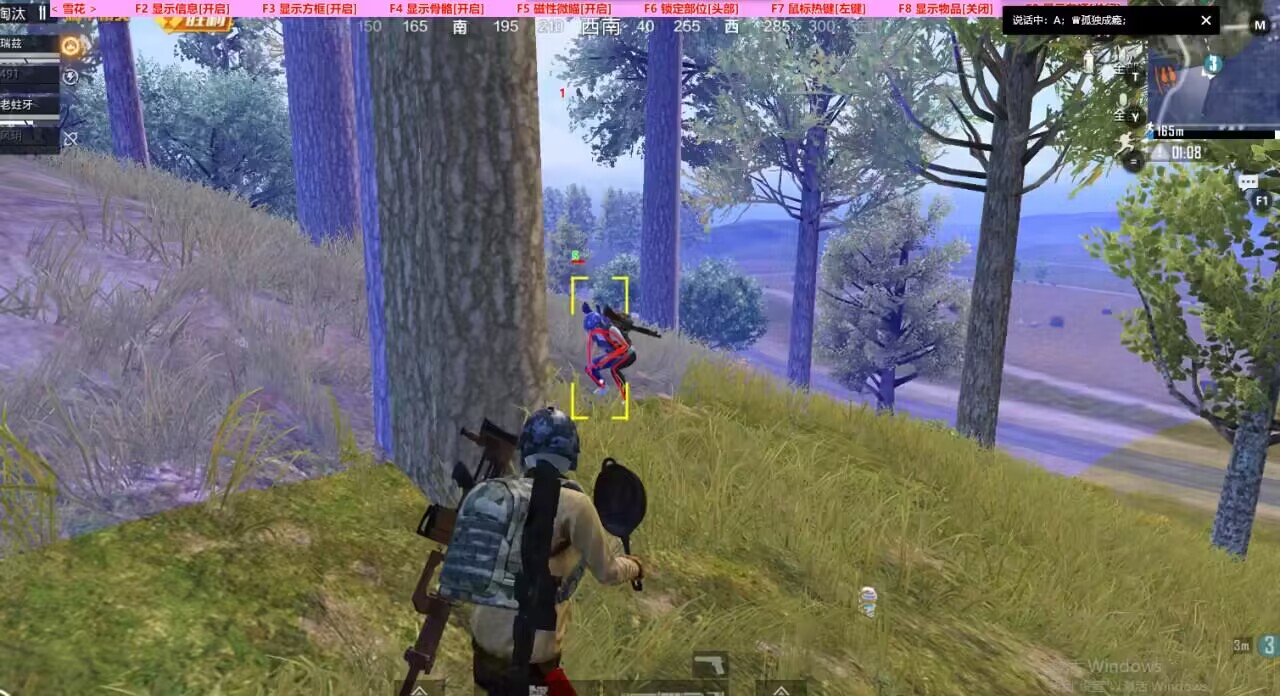 和平精英辅助【九世】